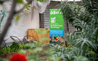 Visita Bellavista – Experiencia urbana